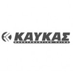 Καυκας Α.Ε.